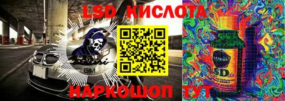 амф Сланцы