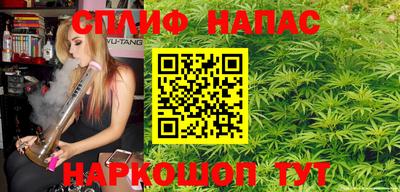 амф Сланцы