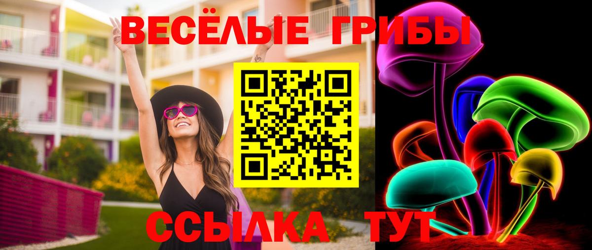 Галлюциногенные грибы GOLDEN TEACHER  Вход с VPN  Новочеркасск 